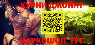 индика Кинель