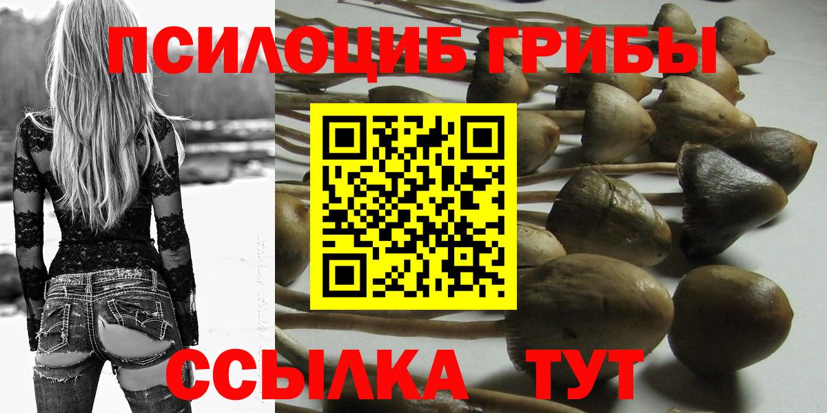 Крымск  Псилоцибиновые грибы мухоморы  Вход с VPN 