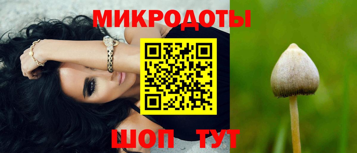 Псилоцибиновые грибы Psilocybine cubensis Крымск